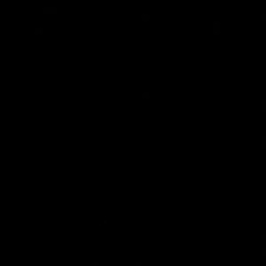 Meet your Posher, Maddie